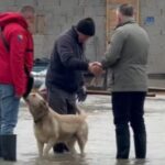 Živinice: Poplave prijete, neke rijeke se izlile, gradonačelnik na terenu sa službama