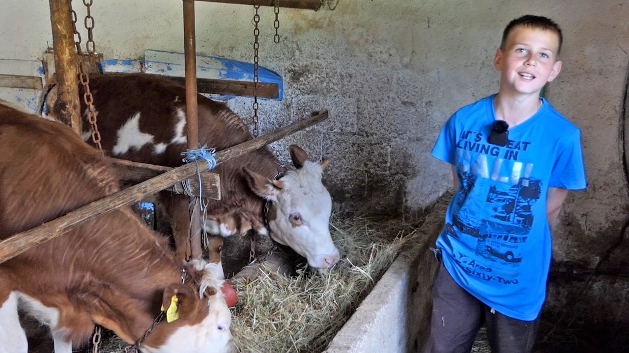 Jedanaestogodišnji Asim iz Ćehajića umjesto telefona izabrao farmu i stoku. Youtube/Srednja Bosna