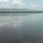 Prijedor: Prijedlog plana reorganizacije Ribnjaka ‘Saničani’ u stečaju usvojen od odbora povjerilaca