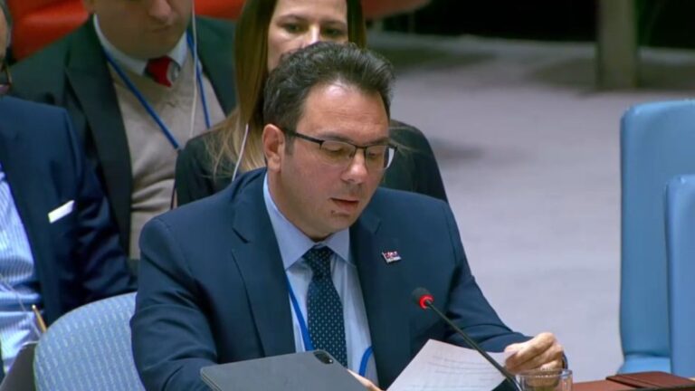 Radomir Ilić. UN