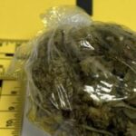 Policija u Širokom Brijegu zaplijenila marihuanu