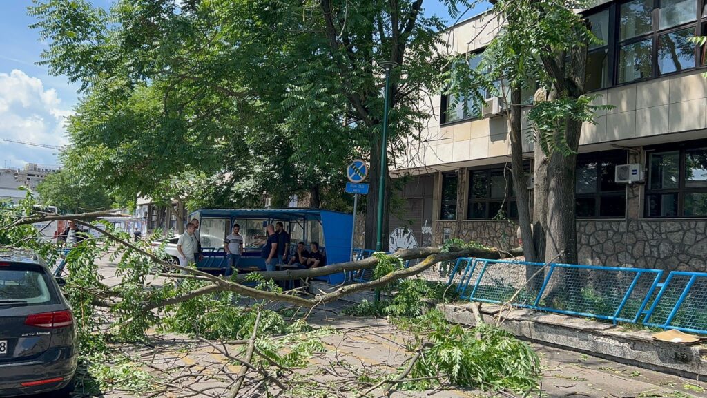 Drvo palo na taksistu na autobuskoj stanici u Sarajevu