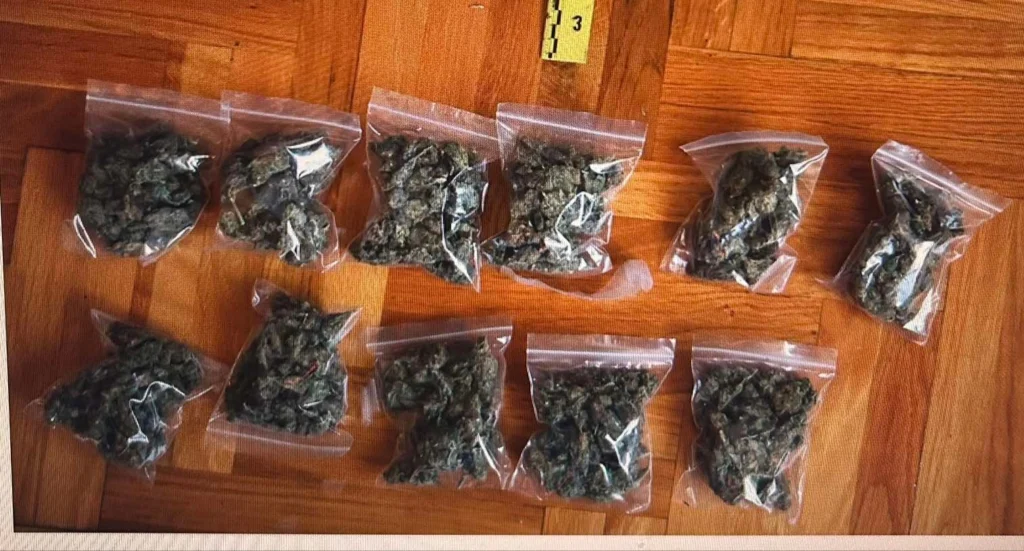 Živinice: U pretresu pronađena opojna droga, jedno lice lišeno slobode
