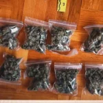 Živinice: U pretresu pronađena opojna droga, jedno lice lišeno slobode
