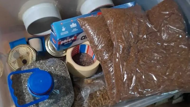 Akcija MUP-a RS: Pronađena laboratorija za uzgoj psihodeličnih gljiva