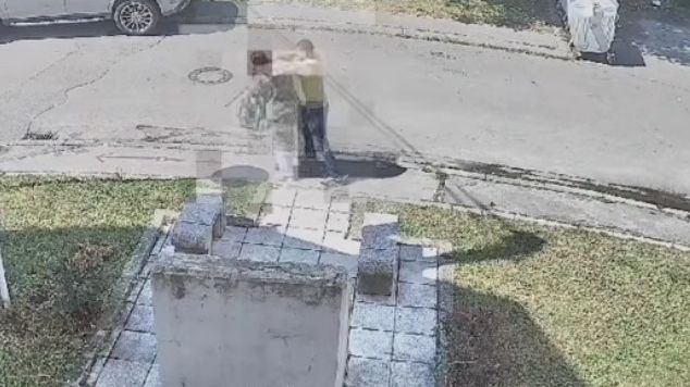 Pljačka na Dobrinji. Crna Hronika / Screenshot