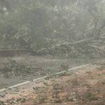 Nevrijeme napravilo haos u Hercegovini: Stabla padala na ceste i vozila, vatrogasci imali pune ruke posla