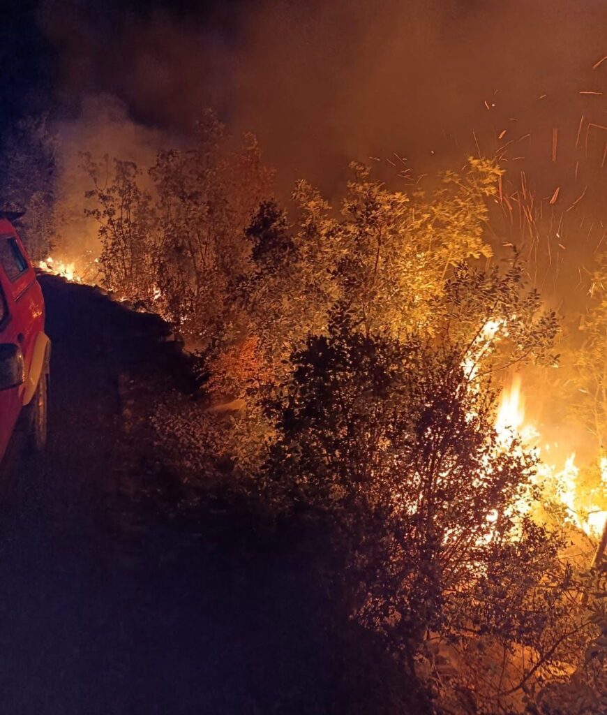 Požar kod Neuma i dalje aktivan: Nova požarišta buknula usred borbe vatrogasaca
