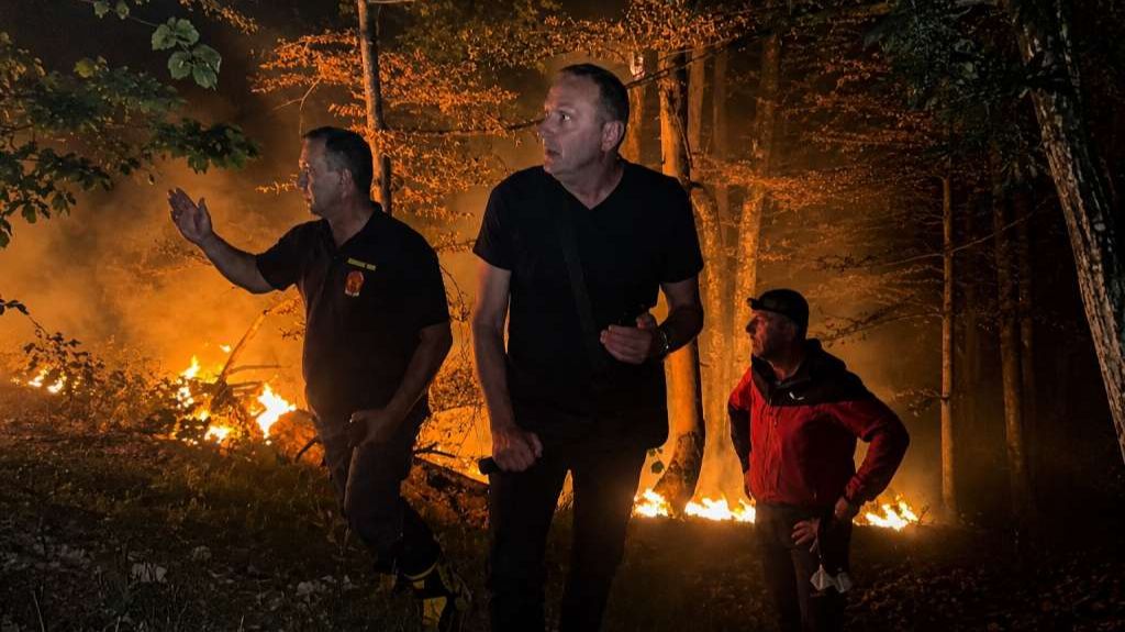 Dizdarić na požarištu. Fena
