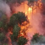 Vatra na Trebeviću i dalje bukti, pogled iz zraka otkriva razmjere požara