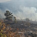 Požar koji je jučer izbio na Trebeviću i dalje aktivan