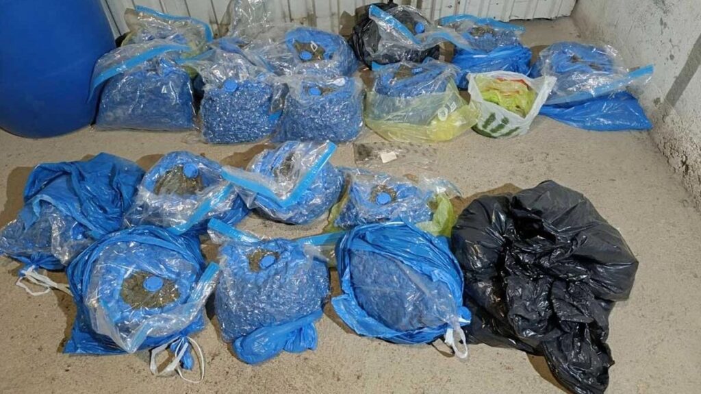 Velika akcija u Doboju: Policija pronašla 93 stabljike i čak 17,7 kilograma marihuane