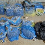 Velika akcija u Doboju: Policija pronašla 93 stabljike i čak 17,7 kilograma marihuane