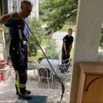 Zmije napadaju: Mostarski ljekari upozorili na grešku koju mnogi prave