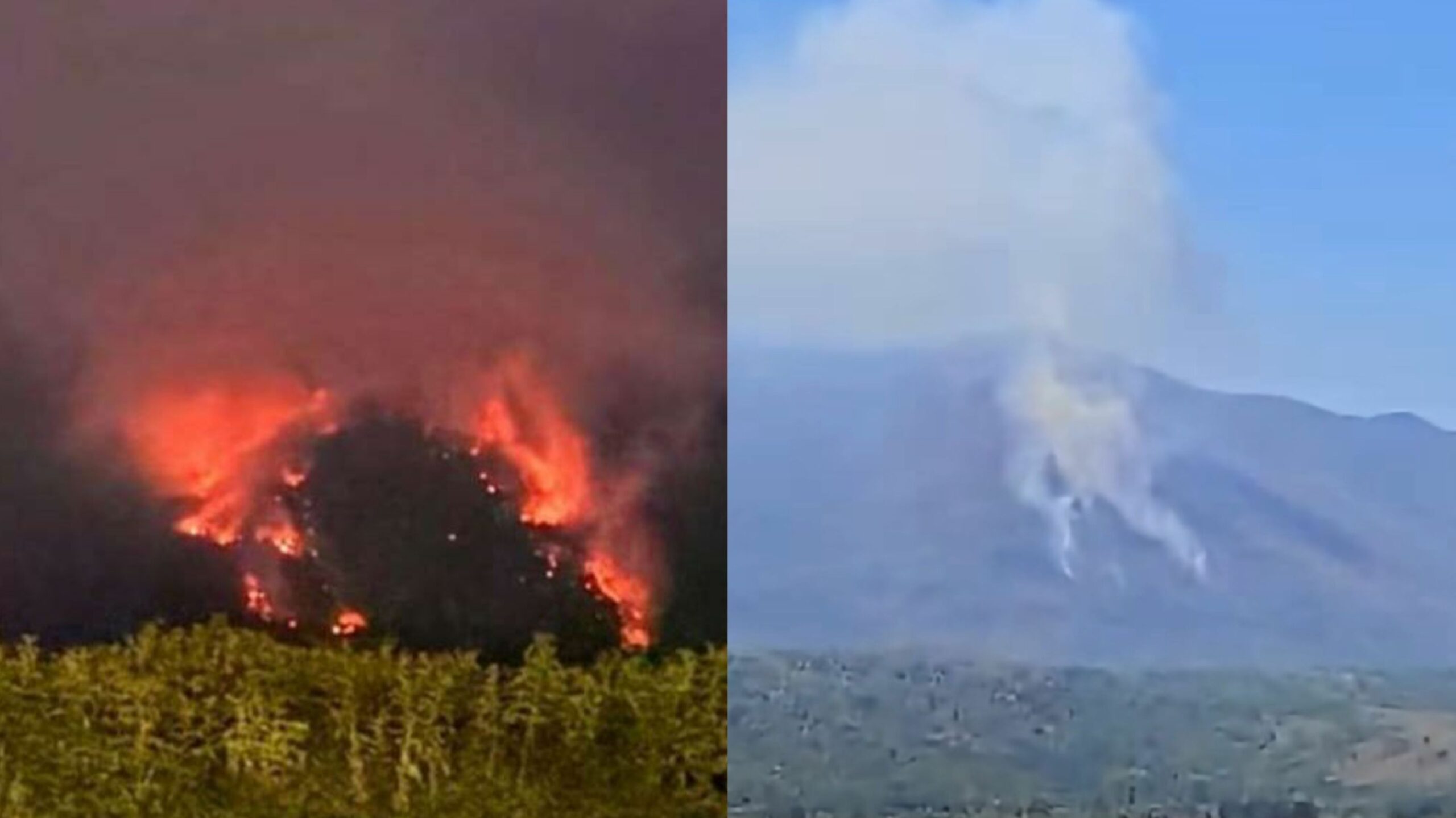 Požar kod Bihaća. Fena