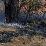 Istraga zbog požara kod Bihaća: Policija pregledava snimke nadzornih kamera