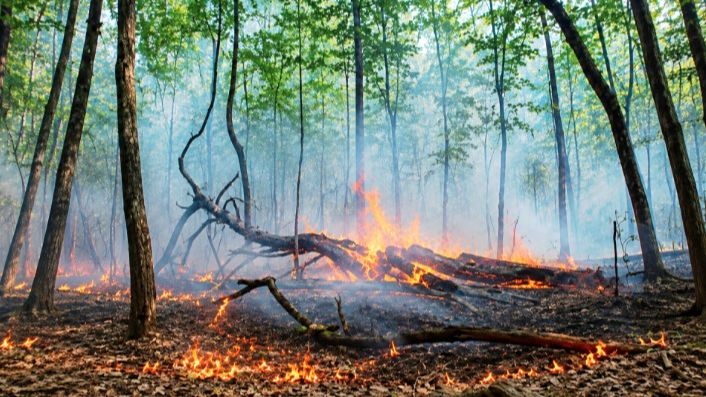 Požar na području Sasine kod Sanskog Mosta i dalje prijeti, nadležne službe na terenu