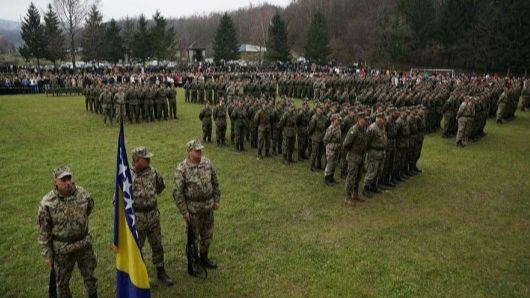Oružane snage BiH. Fena