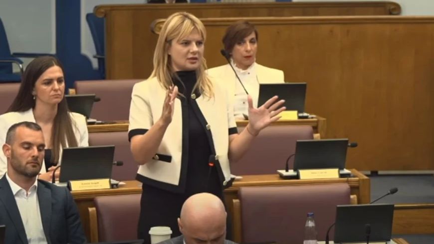 Jelena Nedović o potrebi za mirom u regionu. Facebook