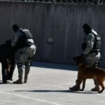 Policija uhapsila muškarca zbog droge, predat u prostorije za zadržavanje