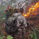 Upozorenja stručnjaka nema ko da čuje: Požari pustoše državu
