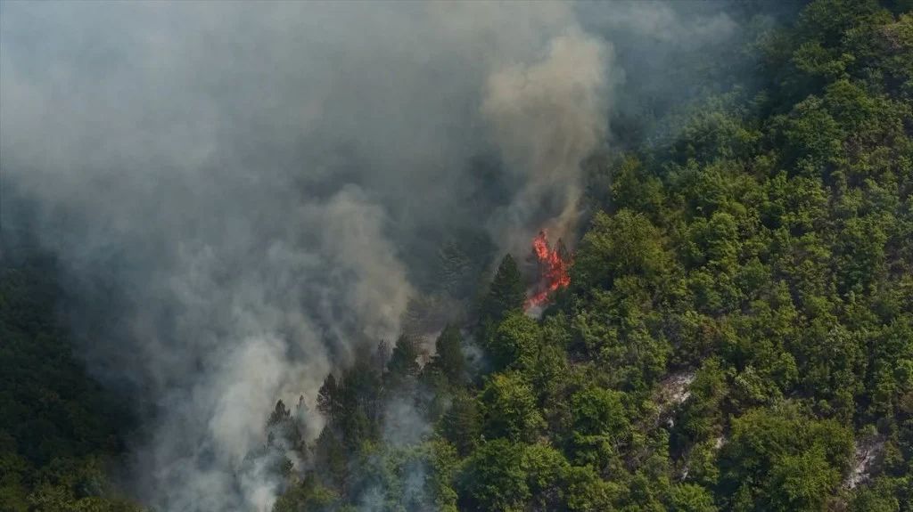 Veliki šumski požar između Nevesinja i Konjica izvan kontrole, gašenje otežava zahtjevan teren