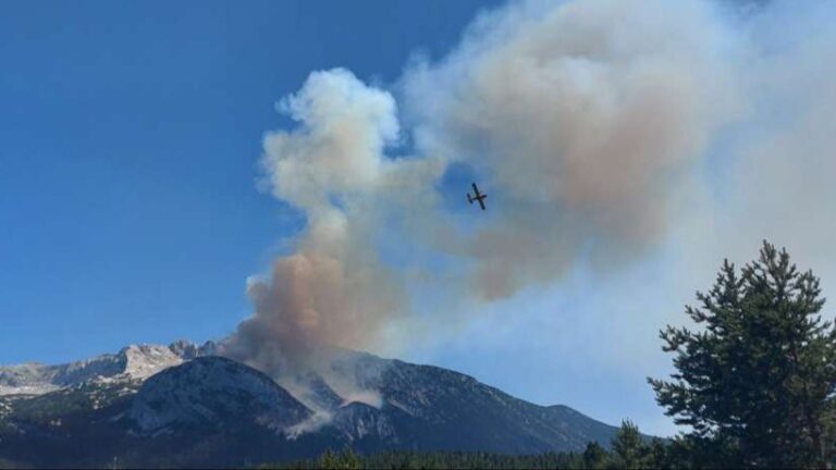 Air tractor izvršio šest preleta. Fena