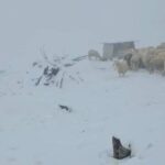 Jesen tek počela, a Bjelašnica već bijela: Pogledajte fotografije
