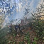 Borba s vatrom u nemogućim uvjetima: Pripadnici Oružanih snaga BiH konopcima spuštaju vodu za gašenje požara