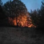 Požar kod Trnova: Vatra se ponovo razbuktala i približila kućama