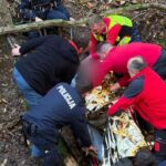 Stariji muškarac pronađen živ nakon više od 24 sata potrage: Pas Uhura odigrao ključnu ulogu